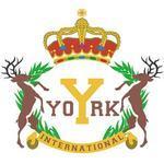 York Montessori International - Tuen Mun
